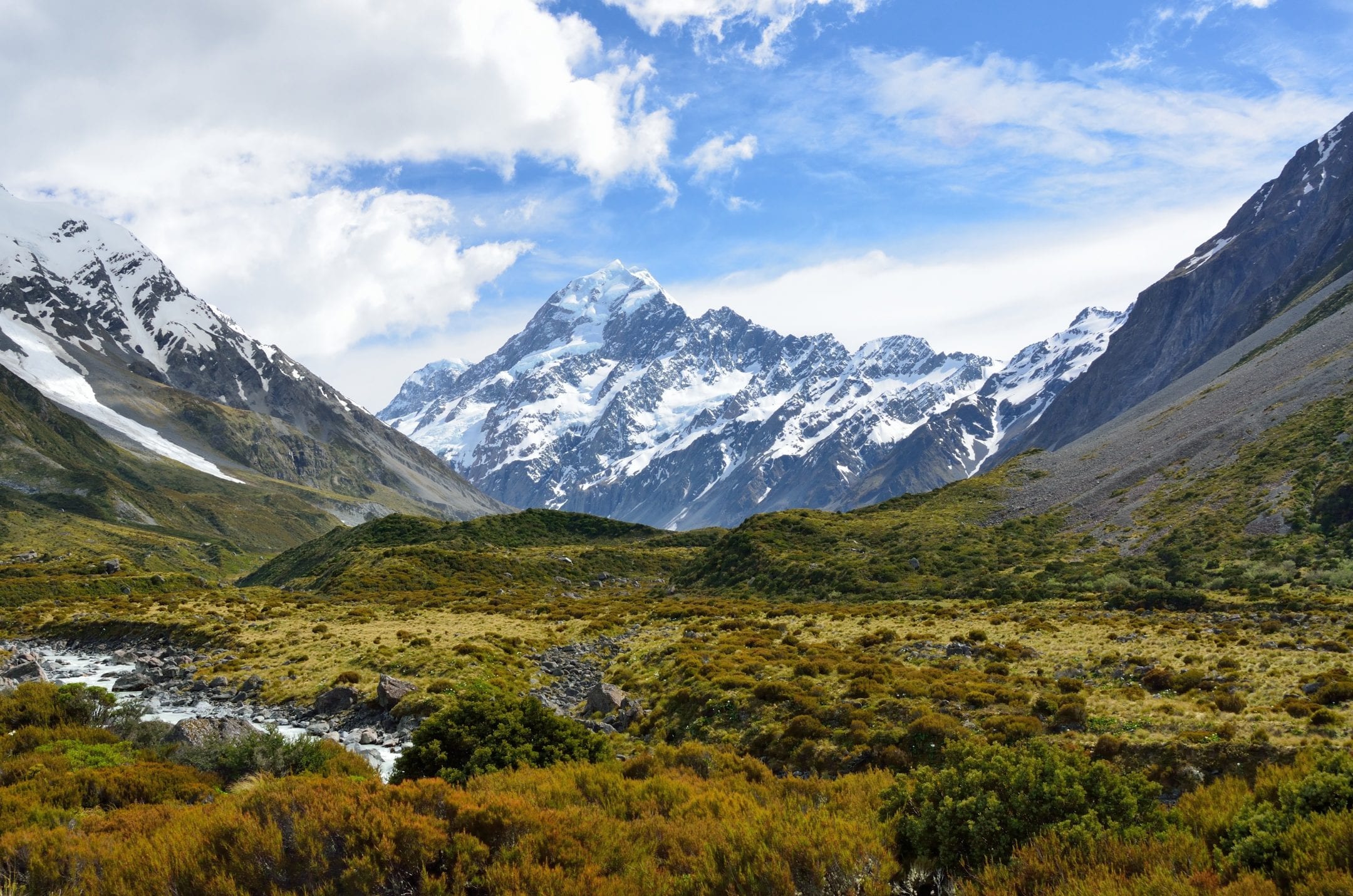 a mountain with snow is in the background of a landscape with trees and shrubbery