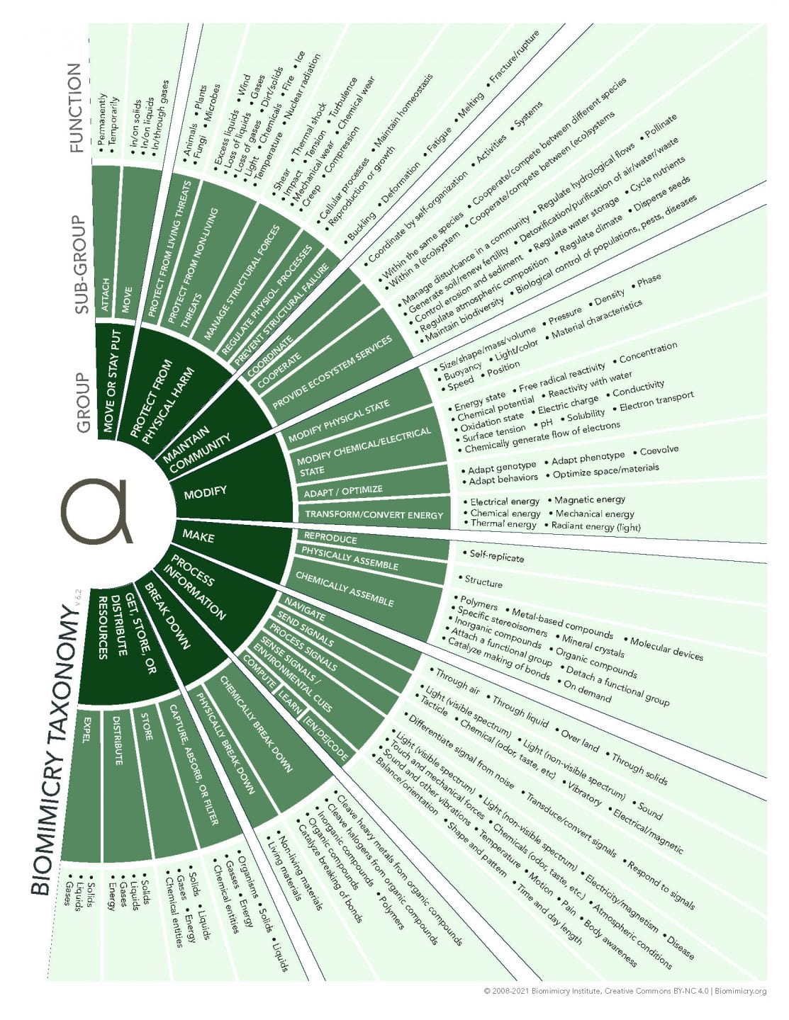 biomimicry taxonomy diagram