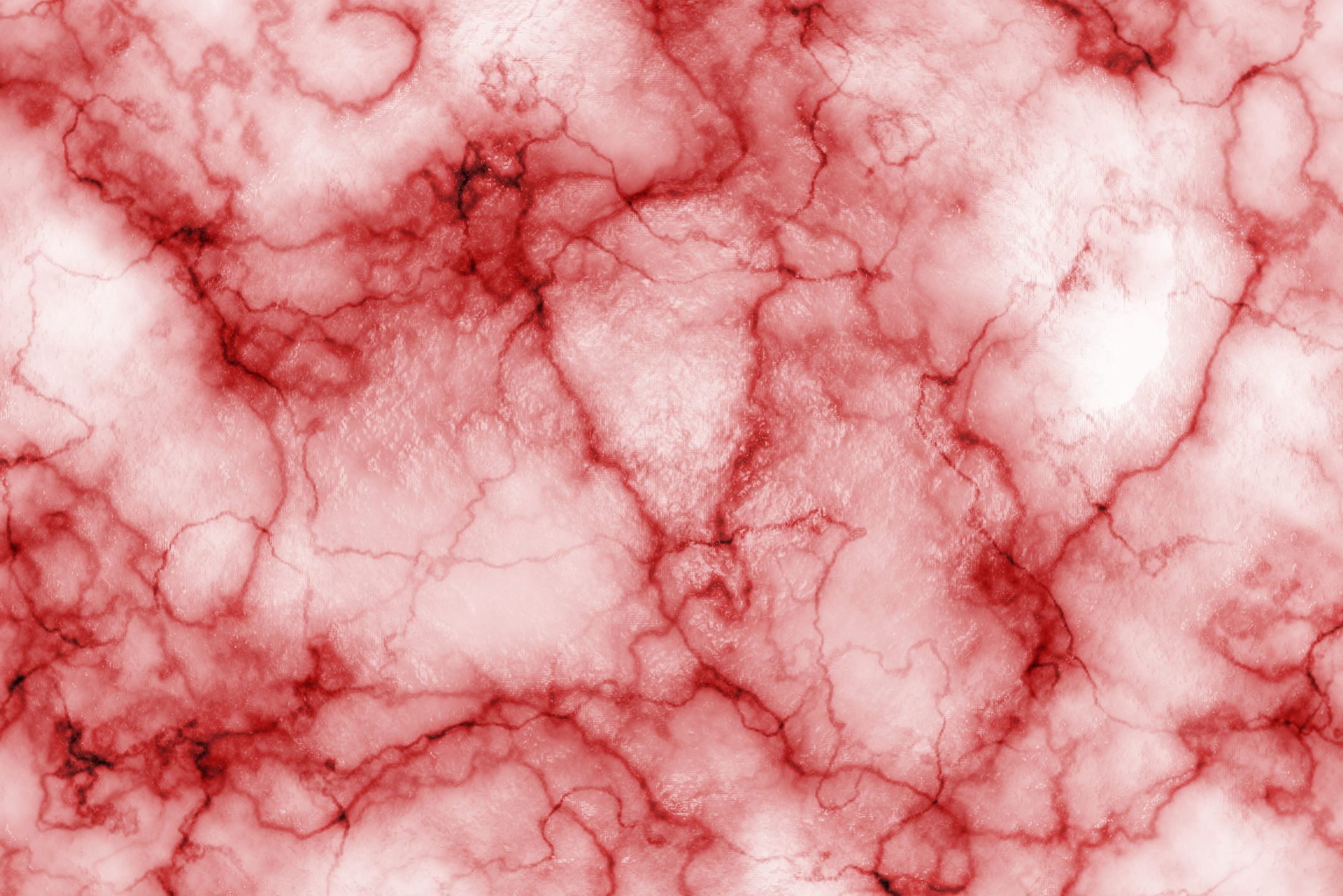 red and white microscopic view of human red blood vessel