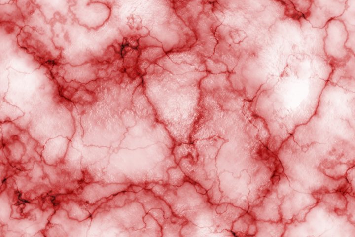 red and white microscopic view of human red blood vessel