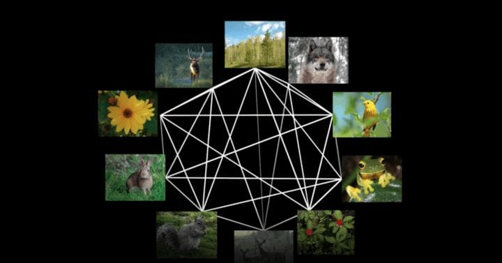 Video still from What Are Systems by PBS Learning Media