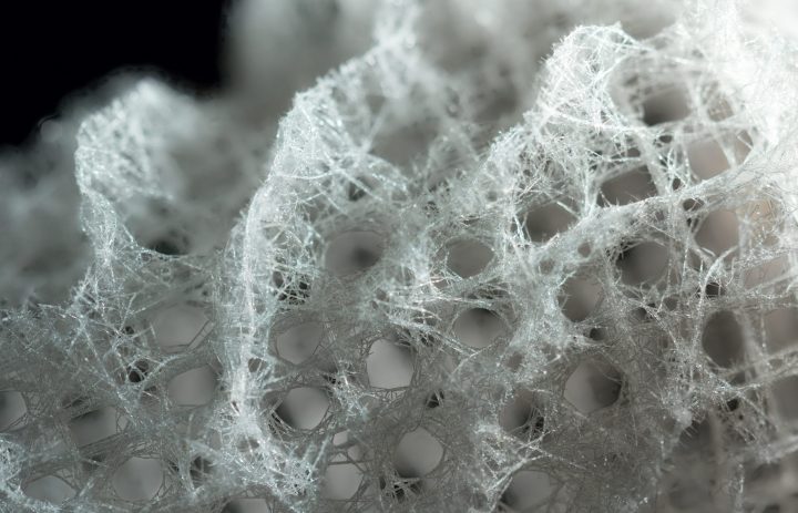 close up photograph of a white sea sponge against a black background