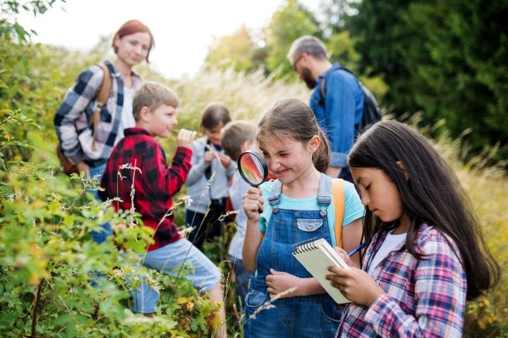 students on an outdoor field trip observe and take notes