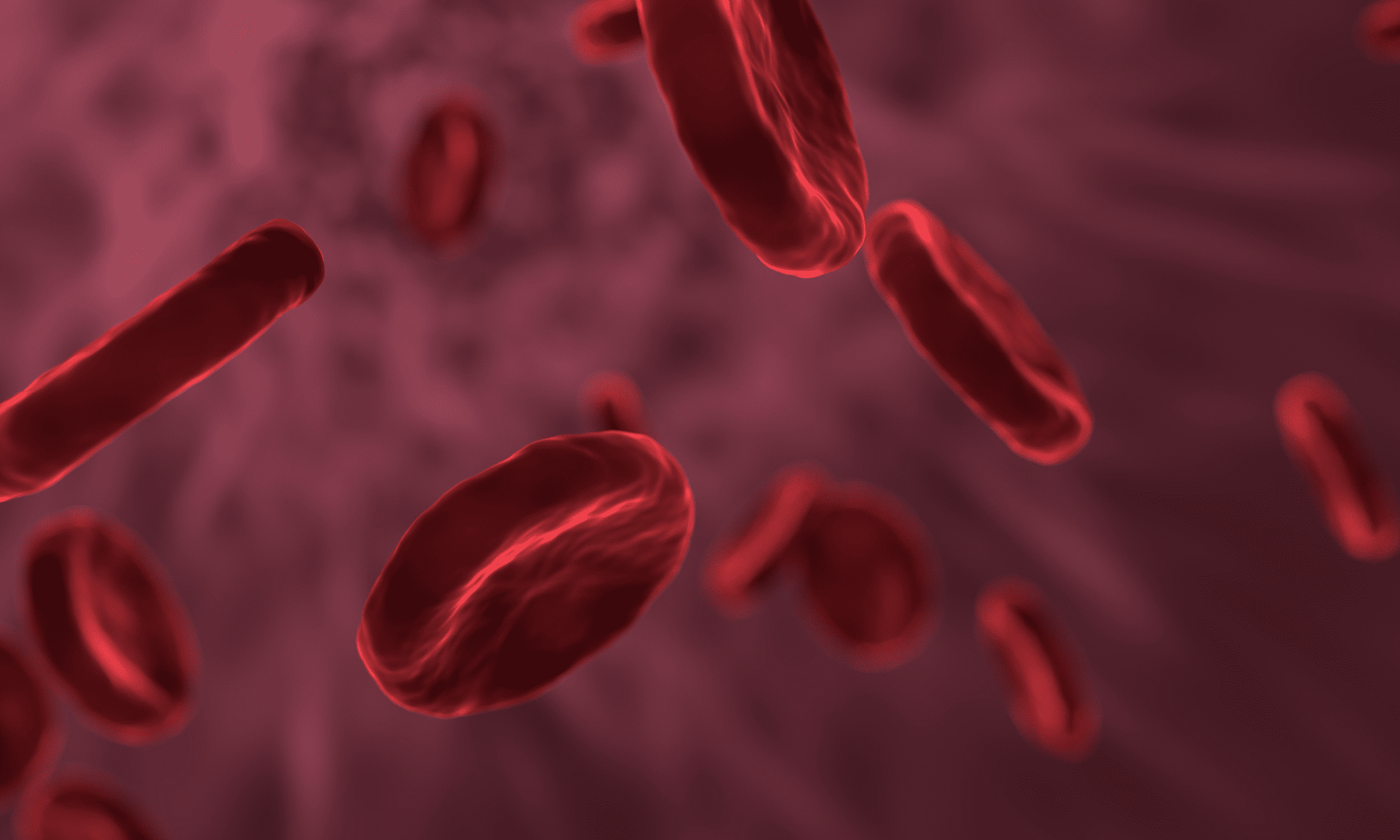 close up illustration of red blood cells against red background