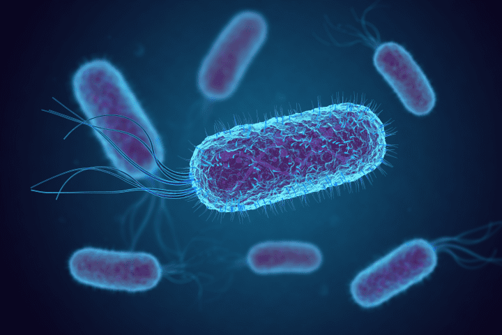 3D image of blue and purple bacteria against dark blue background