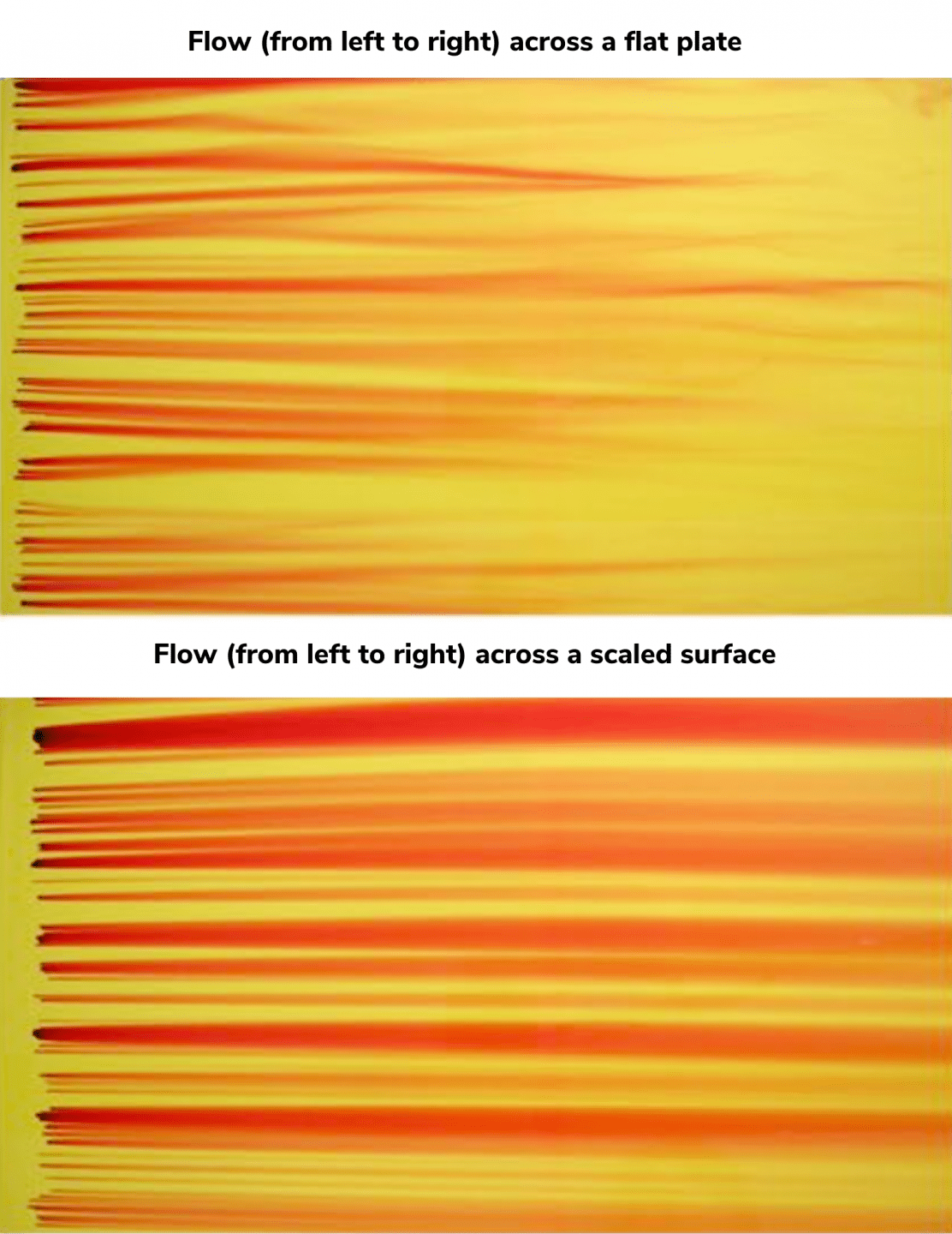 A comparison of velocity profiles seen with flow across a flat disc compared to a scaled surface