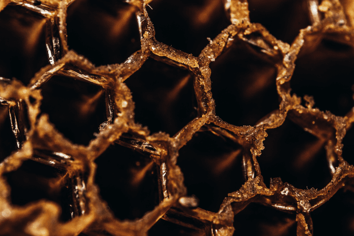 close up photograph of a dark golden honeycomb